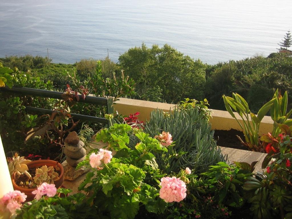 Apartamento Do Sol Arco da Calheta  Exterior photo